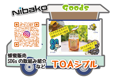 八TOAシブル